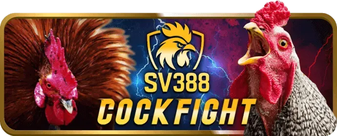 Bóng đá tại s6s666